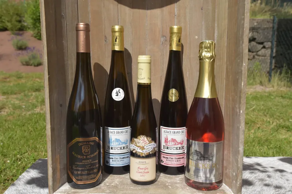 vins